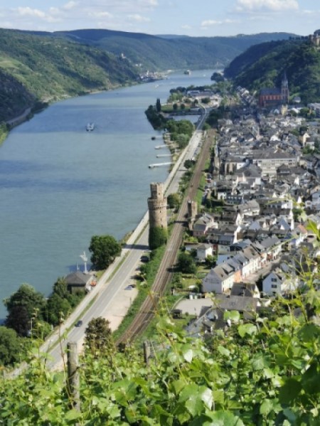 Bacharach15.jpg